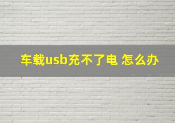 车载usb充不了电 怎么办